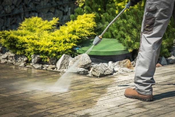 Animal Enclosure Cleaning in Silver Grove, KY