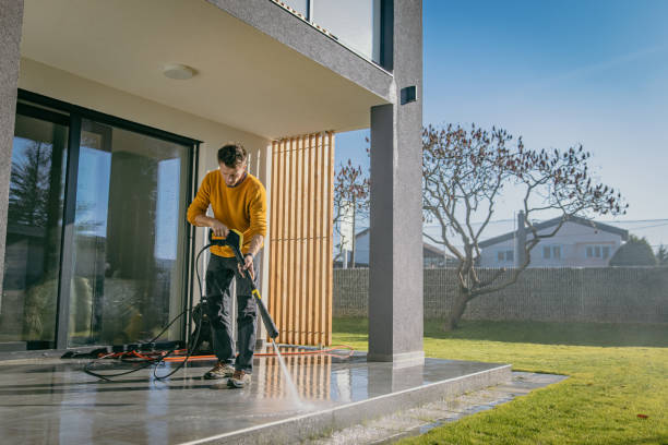 Best Pre-Holiday Cleaning  in Silver Grove, KY