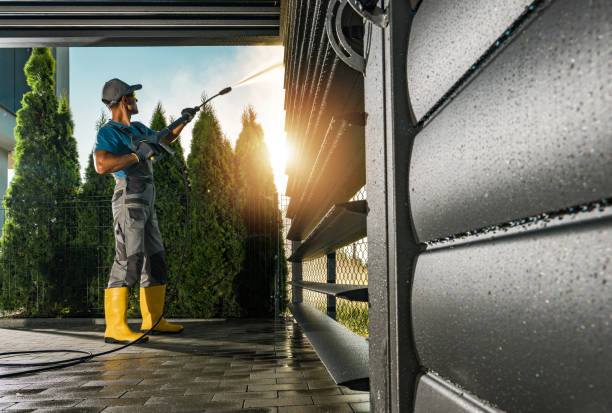 Best Rust Removal  in Silver Grove, KY