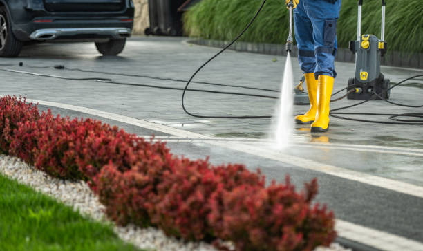 Best Sidewalk and Walkway Cleaning  in Silver Grove, KY