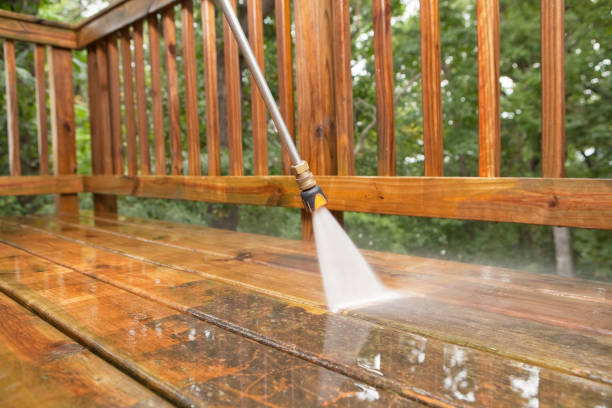 Best Solar Panel Cleaning  in Silver Grove, KY